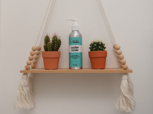 Being a Plant Mum is like looking after yourself and your family.